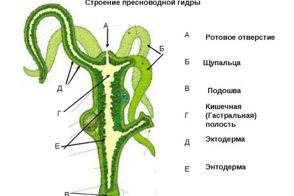 Кракен продает наркотики